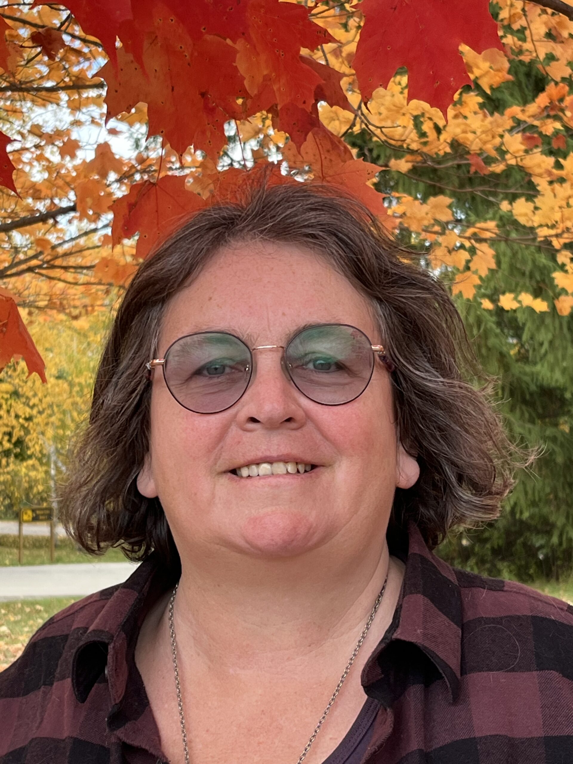 Introducing our services